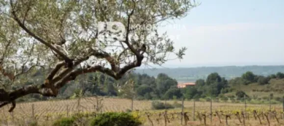  Land in Garriguella, Spain No. 73571 36