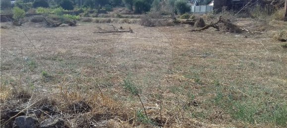 Casa de 2 dormitorios en Olalhas, Portugal No. 39501 4