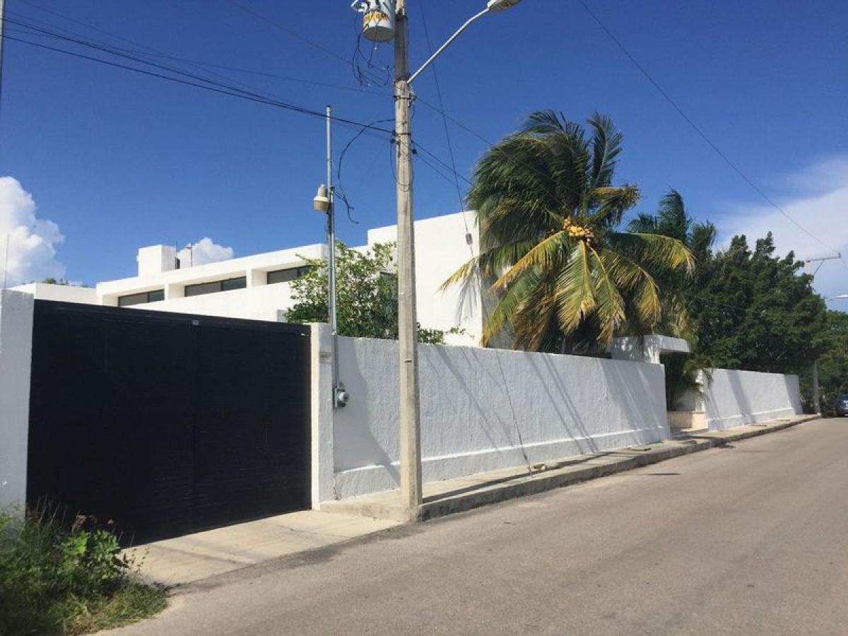 4 bedrooms House in Yucatan, Mexico No. 150335