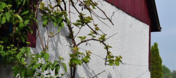 6-Zimmer Haus in Baden-Württemberg, Germany, Nr. 8760 19