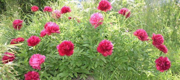 6-Zimmer Haus in Baden-Württemberg, Germany, Nr. 8760 17