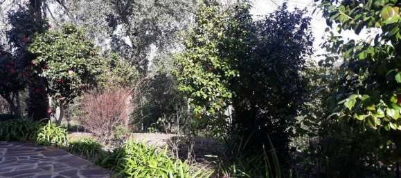 8 Schlafzimmer Haus in Portalegre, Portugal, Nr. 146363 22