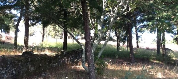 8 Schlafzimmer Haus in Portalegre, Portugal, Nr. 146363 9