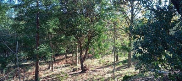 8 Schlafzimmer Haus in Portalegre, Portugal, Nr. 146363 10