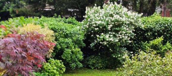 3 غرف نوم شقة في Ville-d'Avray, France رقم 179687 11