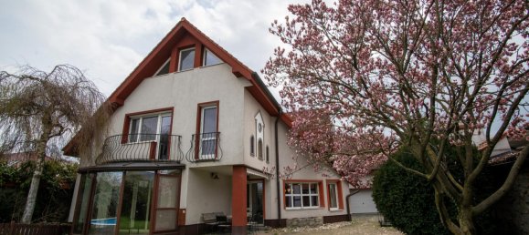 Офис с 7 комнатами в Холлабрунн, Австрия № 131600 12