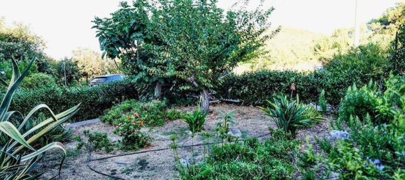 2 غرف نوم شقة في Porto Azzurro, Italy رقم 381519 7