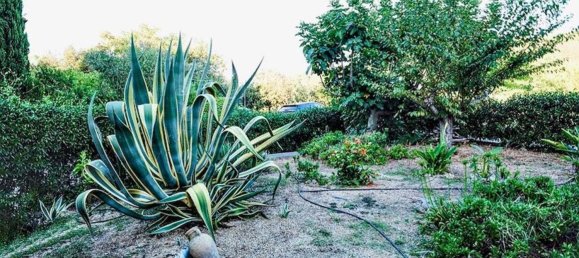 2 غرف نوم شقة في Porto Azzurro, Italy رقم 381519 6