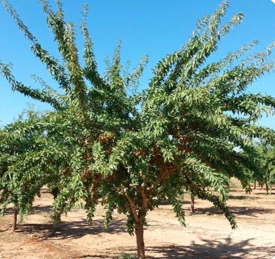 Terreno en Andalucía, Spain 160000 m² No. 259844