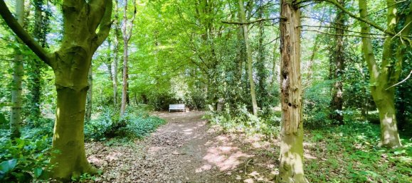 Terreno de 7 habitaciónes en Cuxhaven, Germany No. 205281 7