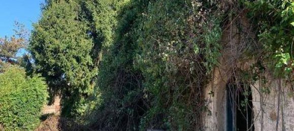 1 bedroom House in Zagarolo, Italy No. 120870 11