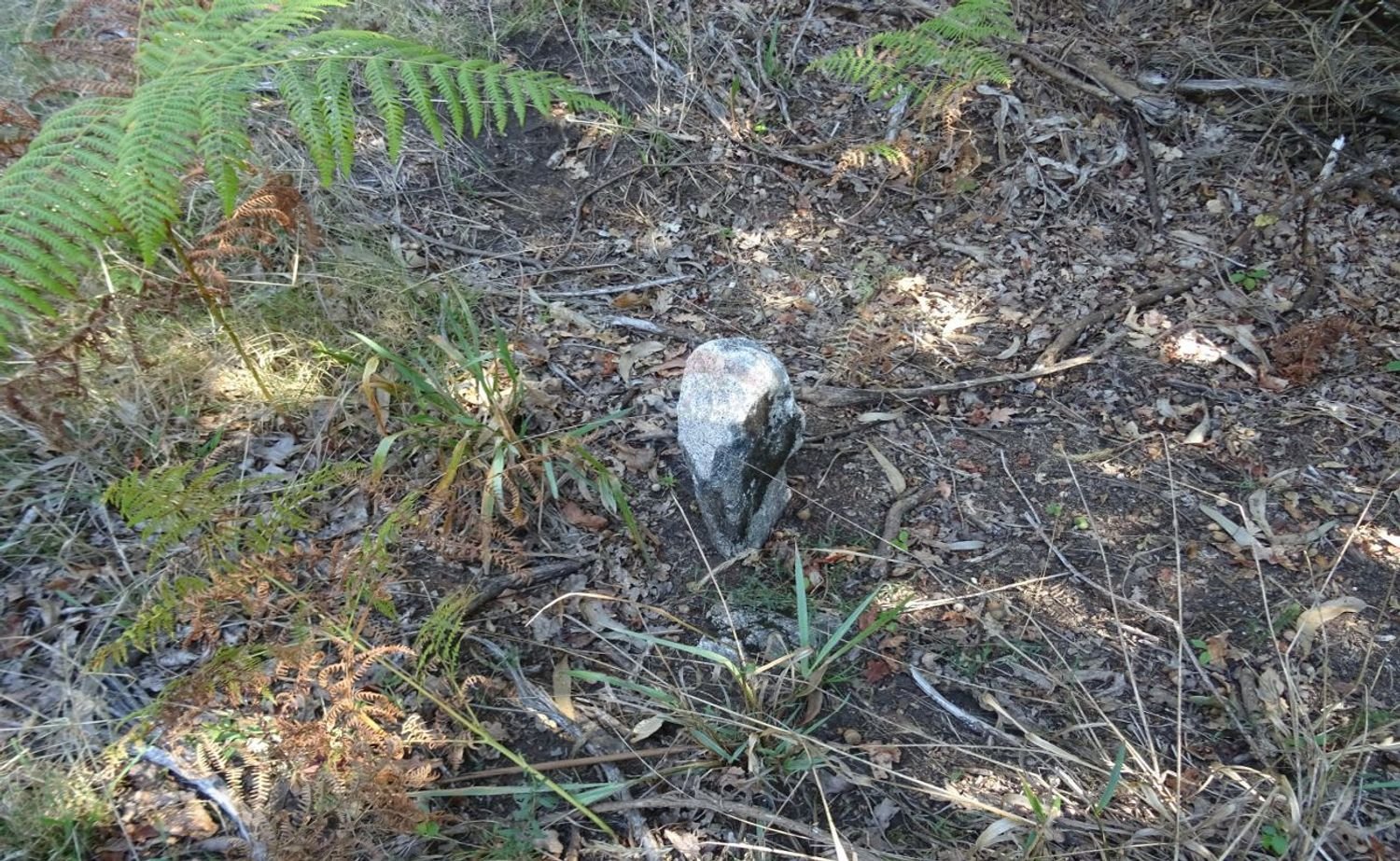 3556m² Land in Vila Verde, Portugal No. 35431