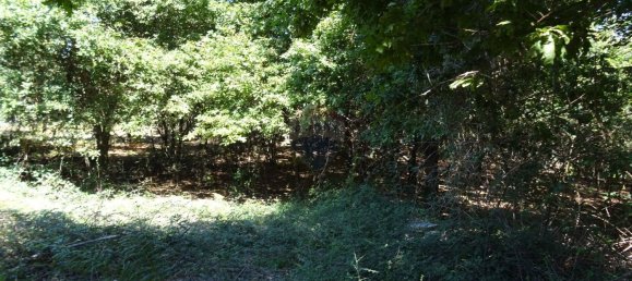 3556m² Land in Vila Verde, Portugal No. 35431 5