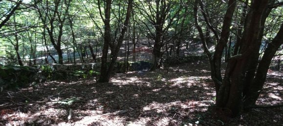 3556m² Land in Vila Verde, Portugal No. 35431 4