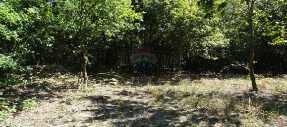 3556m² Land in Vila Verde, Portugal No. 35431 3