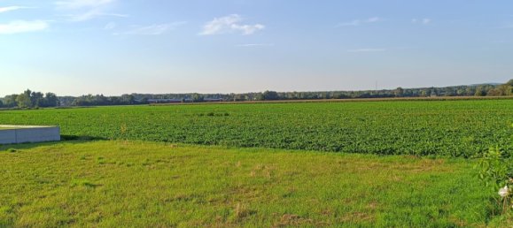 Земельный участок в Занкт Андра-Вёрдерн, Австрия № 229892 6