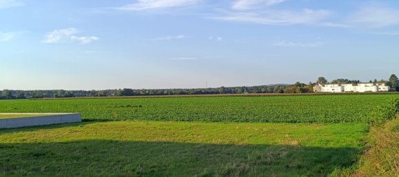 Земельный участок в Занкт Андра-Вёрдерн, Австрия № 229892 13