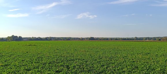 Земельный участок в Занкт Андра-Вёрдерн, Австрия № 229892 11