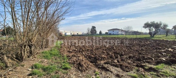 3 Schlafzimmer Haus in Pressana, Italy, Nr. 206909 3