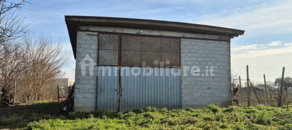 3 Schlafzimmer Haus in Pressana, Italy, Nr. 206909 2