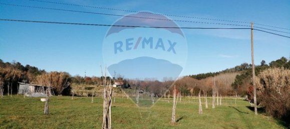 Terreno en Viseu, Portugal 5000 m² No. 42933 6