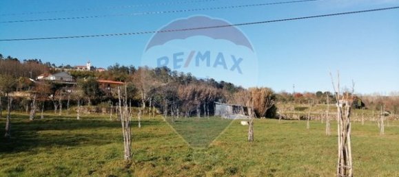 Terreno en Viseu, Portugal 5000 m² No. 42933 5