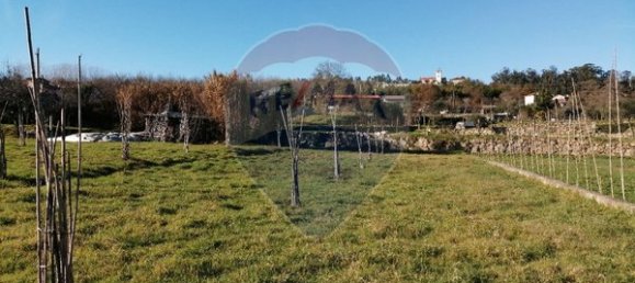 Terreno en Viseu, Portugal 5000 m² No. 42933 4