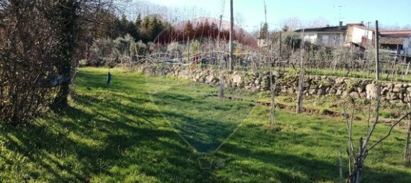 Terreno en Viseu, Portugal 5000 m² No. 42933 2