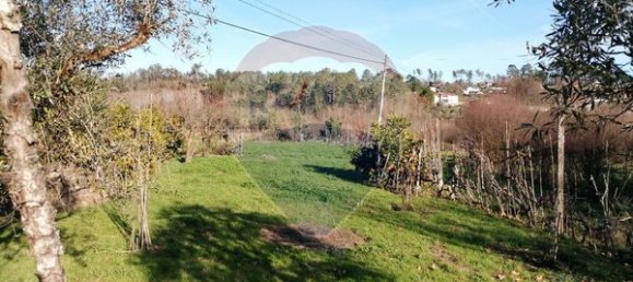 Terreno en Viseu, Portugal 5000 m² No. 42933 3