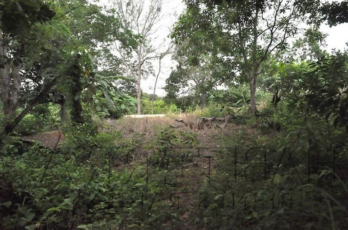  قطعة أرض في Veracruz, Mexico رقم 202856