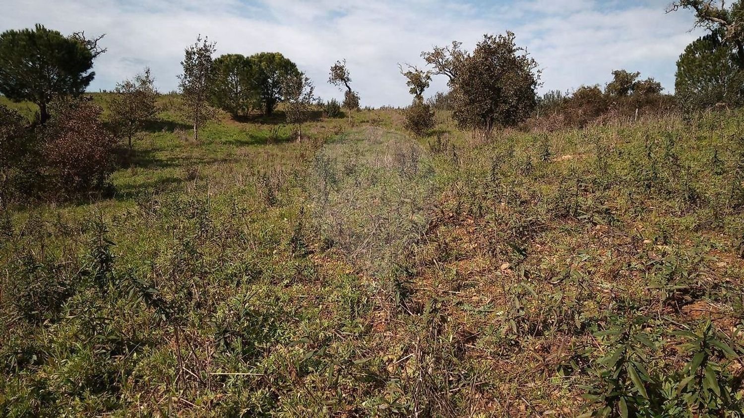  Land in Santiago do Cacem, Portugal No. 327071