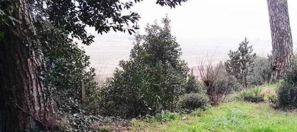 30غرفة فيلا في Empoli, Italy رقم 186781 6