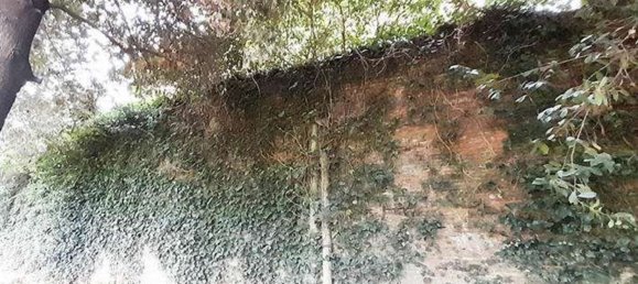 30غرفة فيلا في Empoli, Italy رقم 186781 8