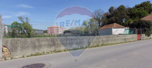 قطعة أرض في Oliveira do Bairro, Portugal 8100متر مربع رقم 73916 14