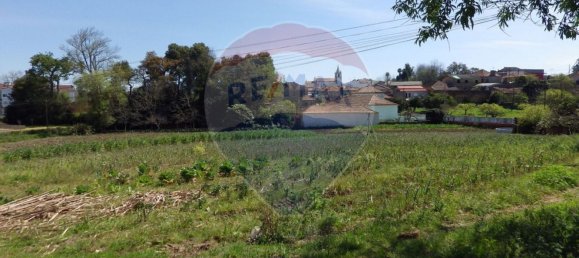 قطعة أرض في Oliveira do Bairro, Portugal 8100متر مربع رقم 73916 9