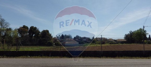 قطعة أرض في Oliveira do Bairro, Portugal 8100متر مربع رقم 73916 3