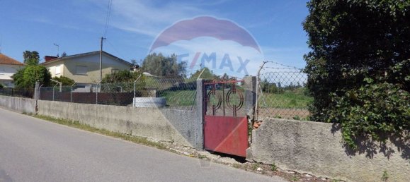 قطعة أرض في Oliveira do Bairro, Portugal 8100متر مربع رقم 73916 13