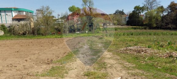 قطعة أرض في Oliveira do Bairro, Portugal 8100متر مربع رقم 73916 10