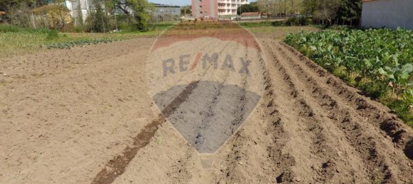 قطعة أرض في Oliveira do Bairro, Portugal 8100متر مربع رقم 73916 16