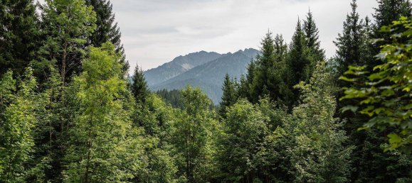 2 غرف نوم منزل في Miesbach, Germany رقم 370536 6