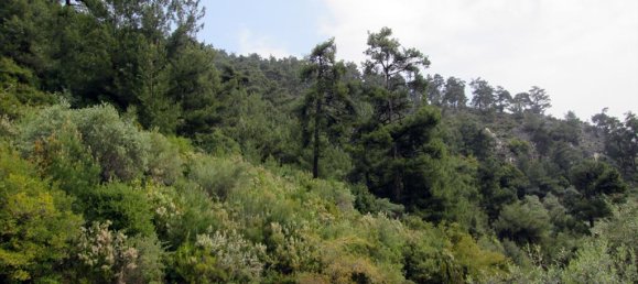  فندق في Thasos, Greece 9200متر مربع رقم 7936 4