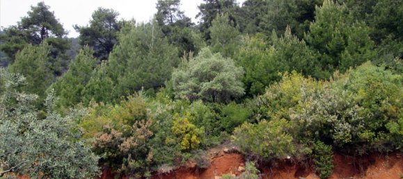  فندق في Thasos, Greece 9200متر مربع رقم 7936 5