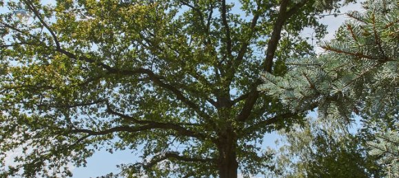 Grundstück in Brandenburg, Germany, Nr. 116494 6