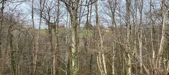 4 bedrooms House in Le Pont-de-Beauvoisin, France No. 273012 17