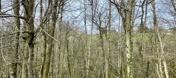 4 bedrooms House in Le Pont-de-Beauvoisin, France No. 273012 18