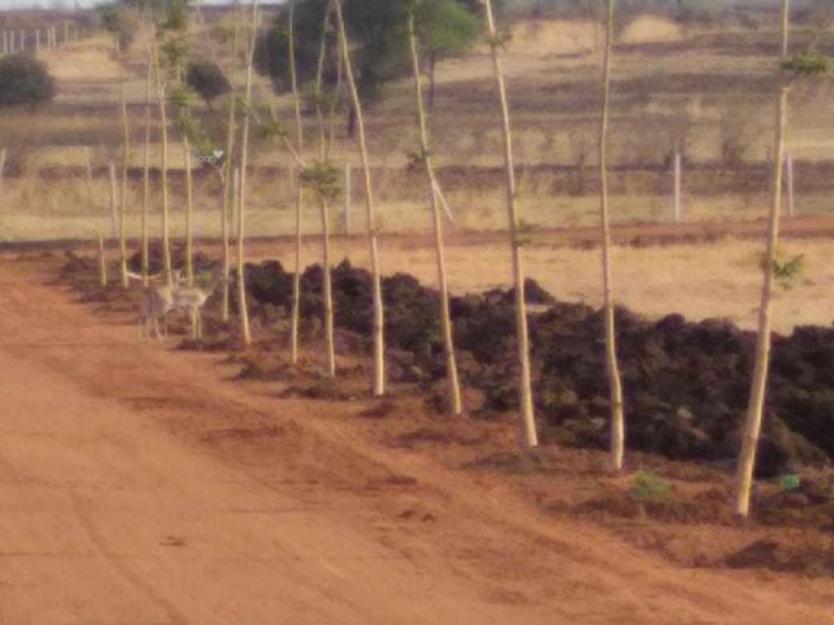  Land in Hyderabad, India No. 30512