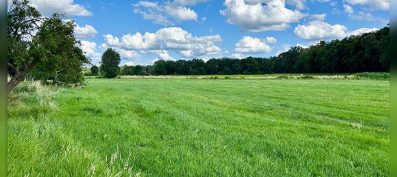 4 Schlafzimmer Haus in Borken, Germany, Nr. 266794 5