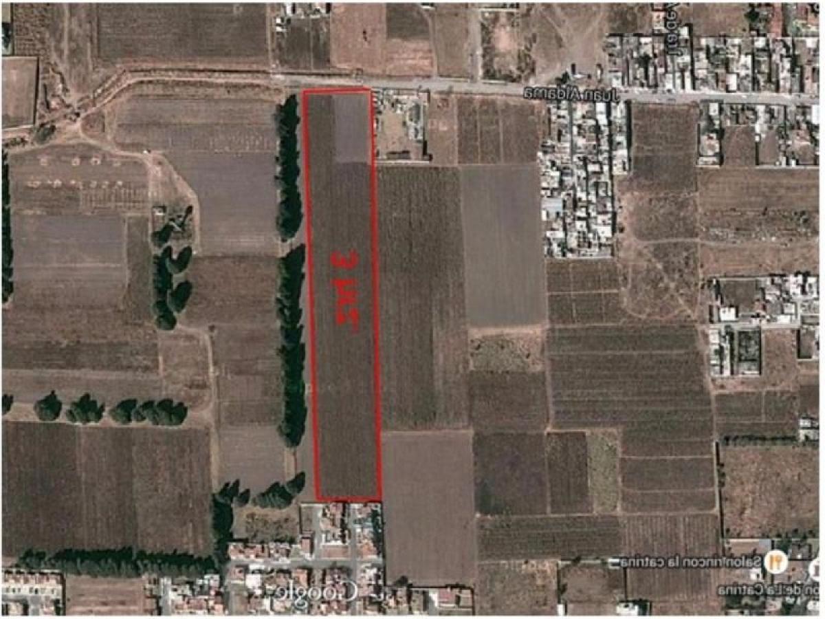  Land in Mexico No. 205475