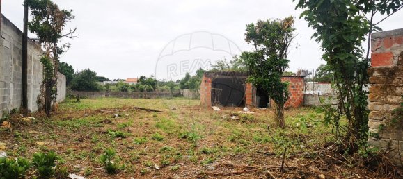 2 bedrooms House in Tocha, Portugal No. 25893 9