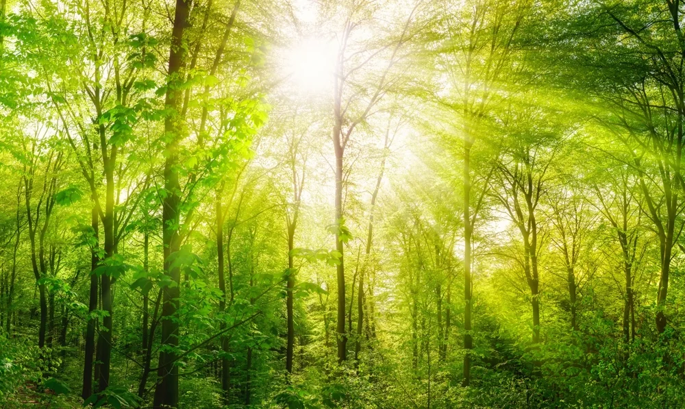 10غرفة عقار تجاري في Westend, Germany رقم 90379